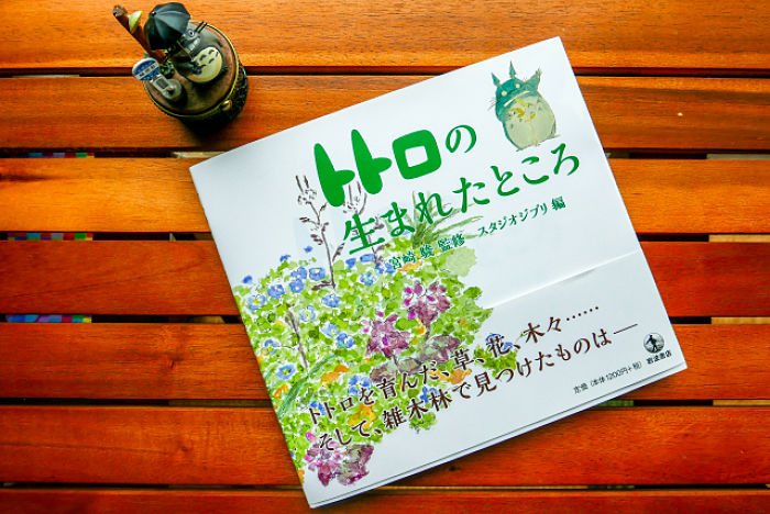 Il luogo dov'è nato Totoro: l'art book dello studio Ghibli