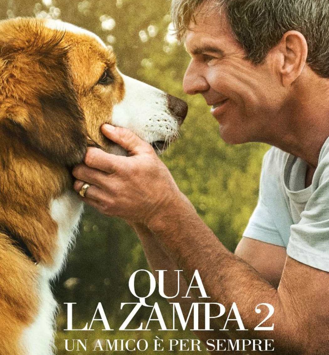 Qua la zampa 2
