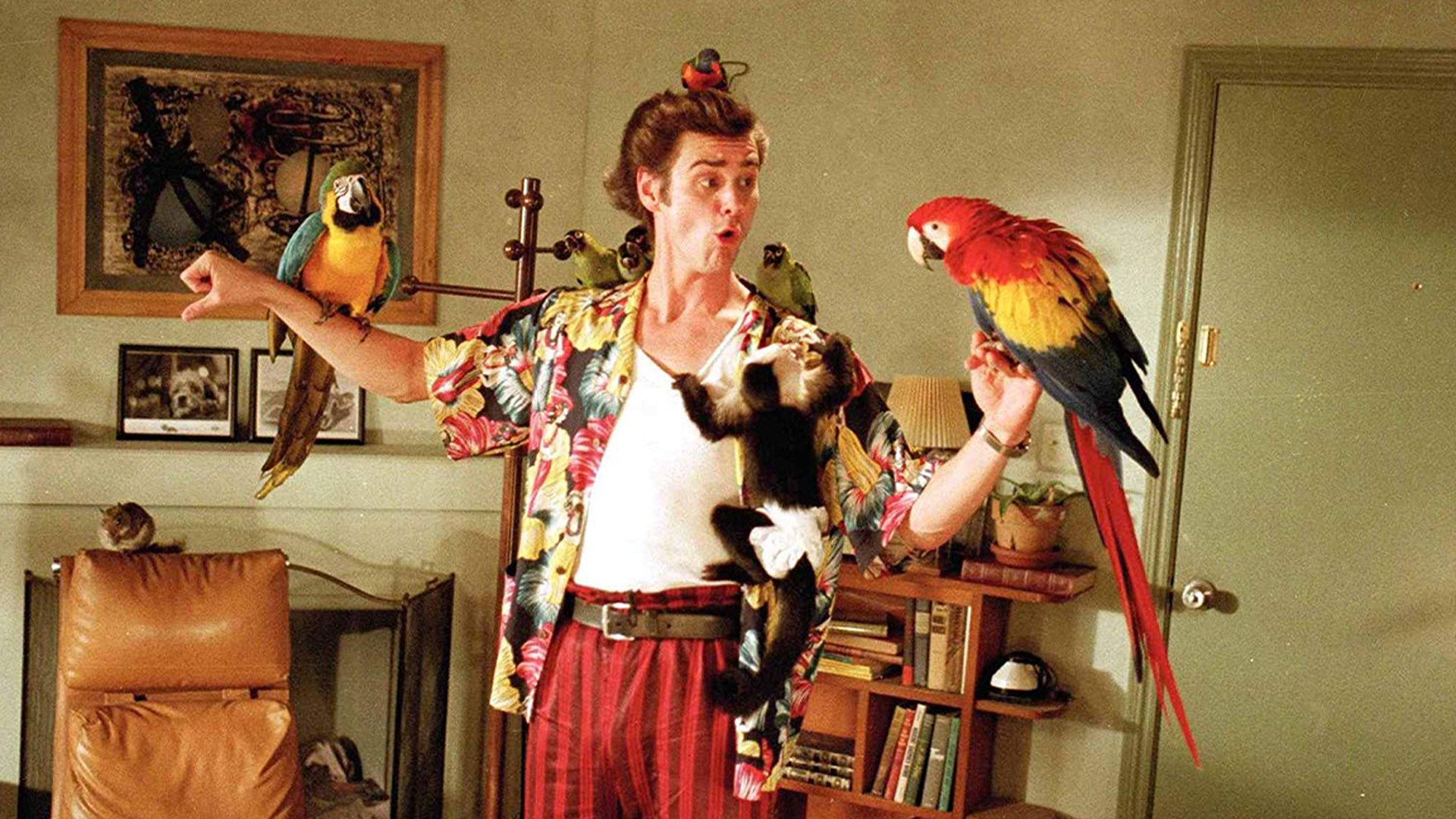 Ace Ventura