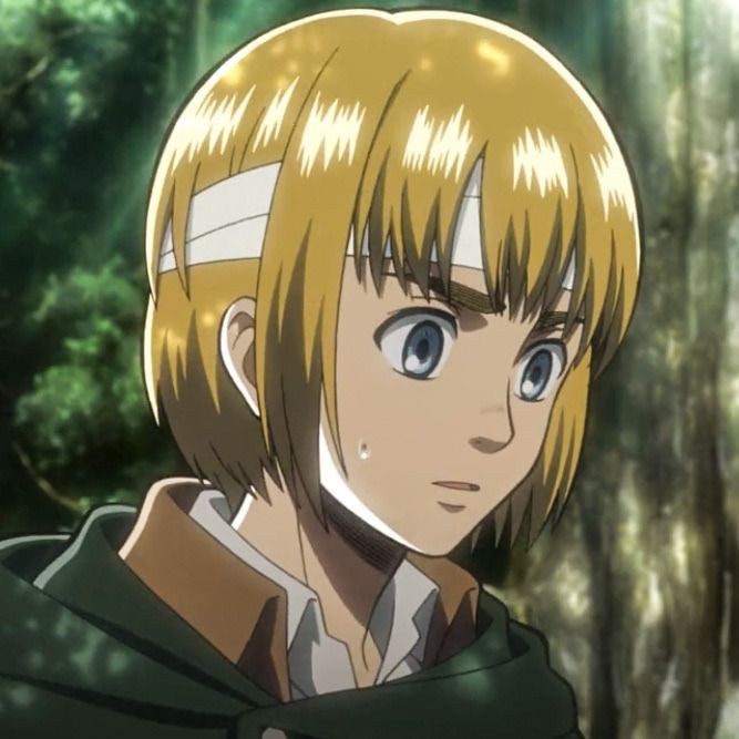 Armin Arlert