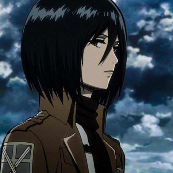 mikasa