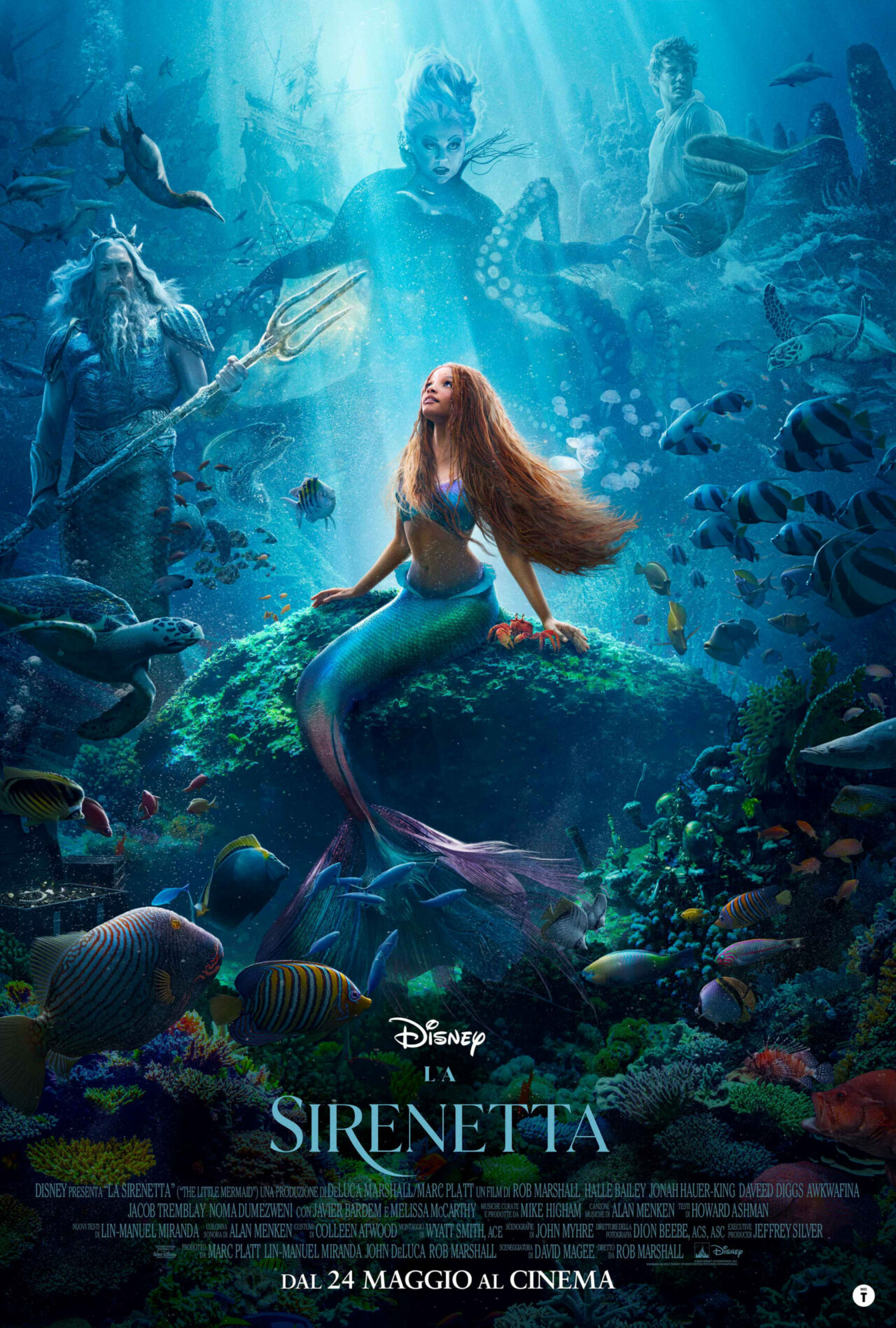 POSTER la sirenetta