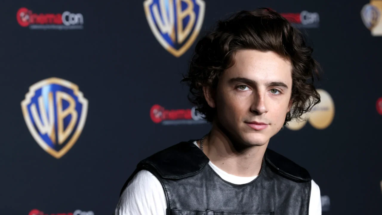 Timothée Chalamet interessato a interpretare Nightwing